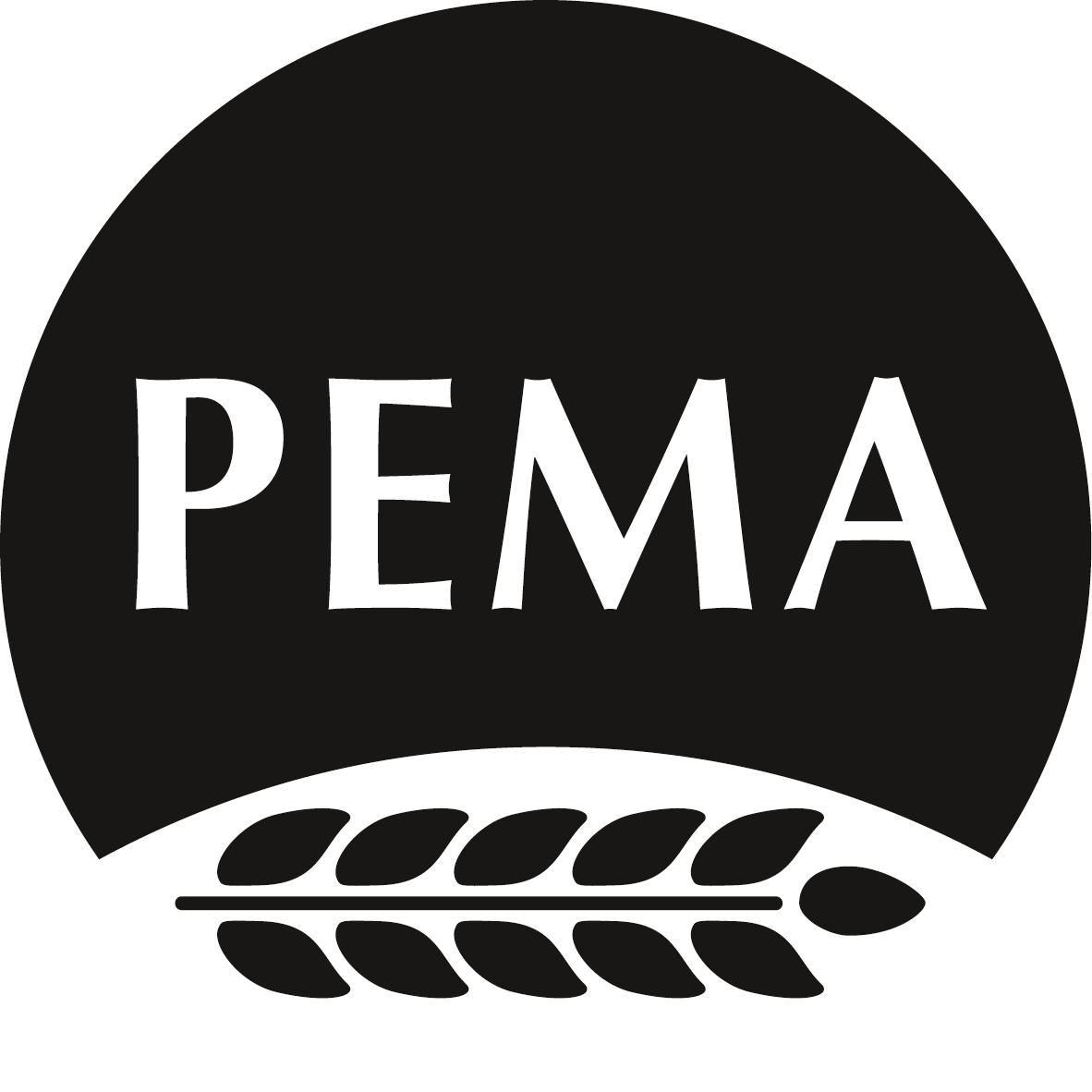 Logo Pema